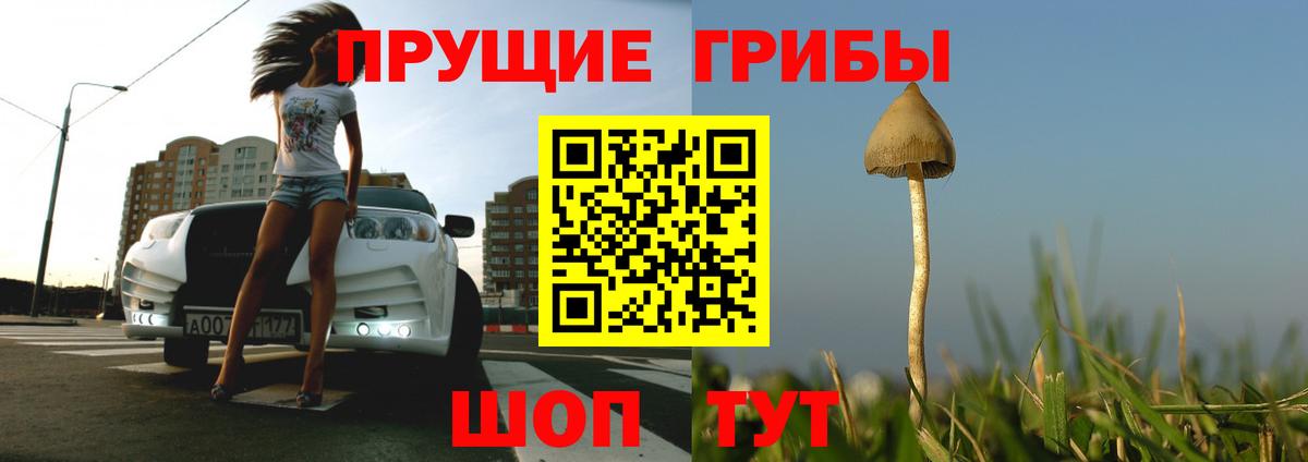 Усолье-Сибирское  Псилоцибиновые грибы Psilocybine cubensis  как найти   Вход с VPN 